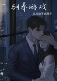 驯养游戏强制调教