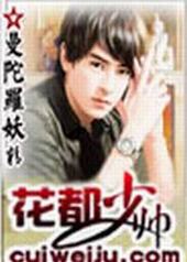 花都少帅叶枫全文无删减txt